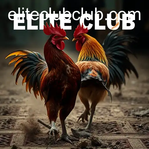 The Secret World of Cockfighting's 